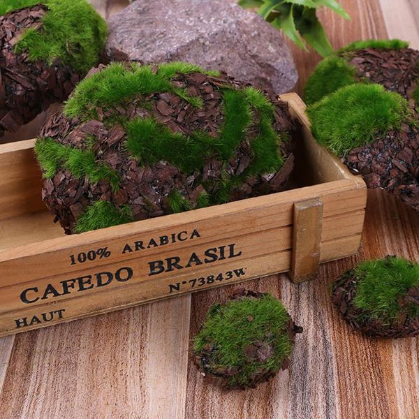 decorative flowers & wreaths 6pcs office el simulation wedding home garden decor foam moss stone prop mini diy artificial plant landscape fa
decorative flowers & wreaths 6pcs office el simulation wedding home garden decor foam moss stone prop mini diy artificial plant landscape fa
