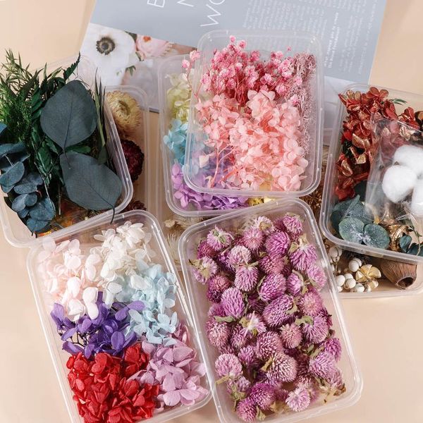 real dried flowers for aromatherapy candle epoxy resin pendant handicrafts wall decoration flowers wedding party dec qylmrq
real dried flowers for aromatherapy candle epoxy resin pendant handicrafts wall decoration flowers wedding party dec qylmrq