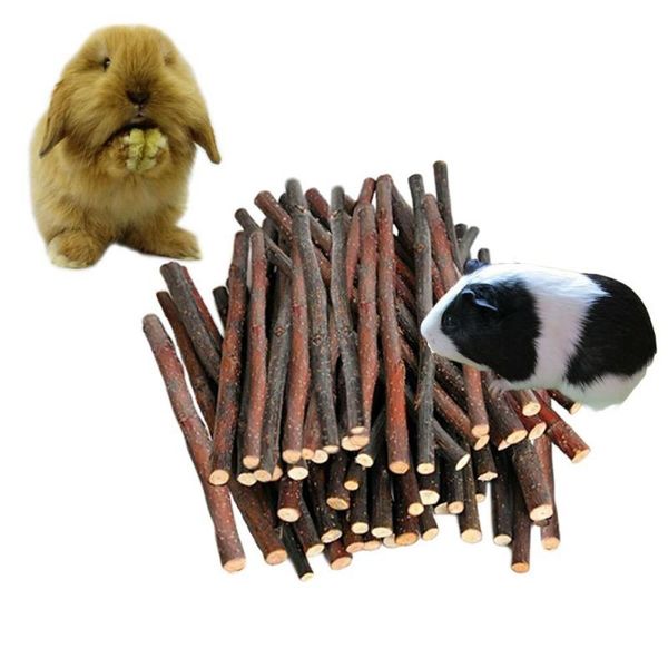 other bird supplies 1 bag apple natural branch a tree toy for pets parrots rabbits cavie wood hamsters parrot chewing toys
other bird supplies 1 bag apple natural branch a tree toy for pets parrots rabbits cavie wood hamsters parrot chewing toys