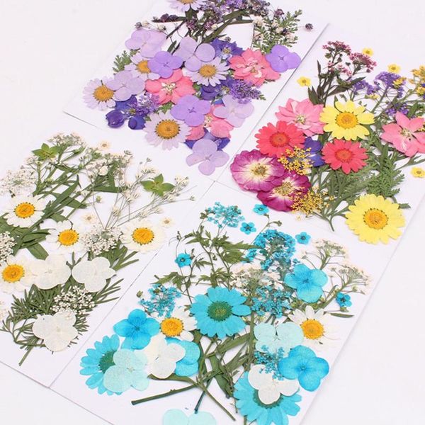 pressed flower mixed organic dried flowers diy art floral decors collection gift party decorations artificial dried flowers
pressed flower mixed organic dried flowers diy art floral decors collection gift party decorations artificial dried flowers