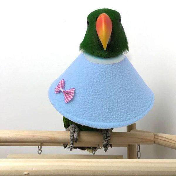 other bird supplies protective bead parrot collar anti feather picking ring anti-plucking anti-grab elizabethan for rodents birds
other bird supplies protective bead parrot collar anti feather picking ring anti-plucking anti-grab elizabethan for rodents birds