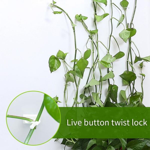 other garden supplies 20pcs invisible wall rattan clamp clip vine climbing sticky hook fixed bracket plant stent supports
other garden supplies 20pcs invisible wall rattan clamp clip vine climbing sticky hook fixed bracket plant stent supports