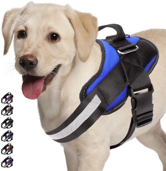 adjustable dog harness no pull dog harness breathable outdoor vest reflective straps cat pet harness supply with dog patch
adjustable dog harness no pull dog harness breathable outdoor vest reflective straps cat pet harness supply with dog patch