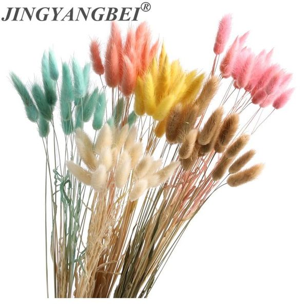natural 20pcs dried flower tail grass foxtail dog tail grass branch diy flowers wedding decoration for home party office
natural 20pcs dried flower tail grass foxtail dog tail grass branch diy flowers wedding decoration for home party office