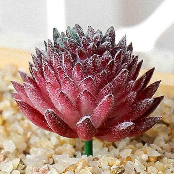artificial succulent simulation plants fake aloe cactus landscape lotus flower diy faux flower creative diy accessories
artificial succulent simulation plants fake aloe cactus landscape lotus flower diy faux flower creative diy accessories