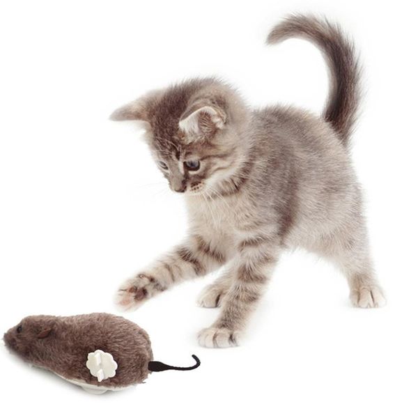 cat toys creative funny clockwork spring power plush mouse toy dog playing mechanical motion rat pet accessories
cat toys creative funny clockwork spring power plush mouse toy dog playing mechanical motion rat pet accessories