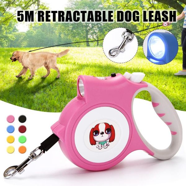 new pet leash dog go out portable automatic retractable pet leash with dog at night supplies
new pet leash dog go out portable automatic retractable pet leash with dog at night supplies