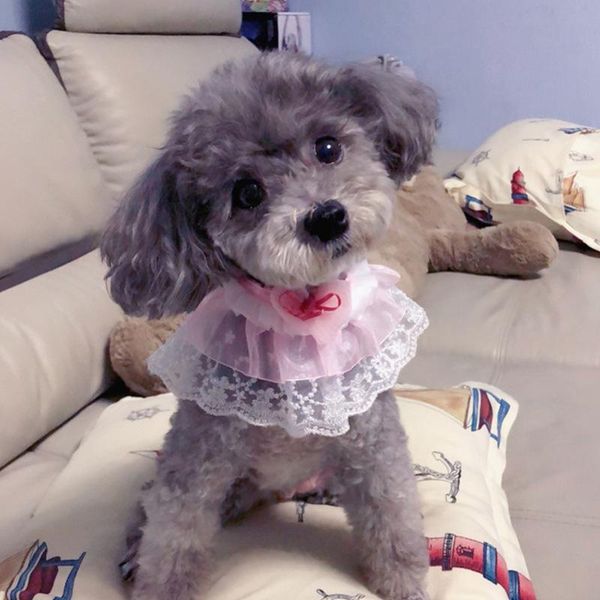 1pc pet cute heart neckerchief scarf sweet lace scarf pink dog bib cat collar wedding decoration saliva towel for puppy
1pc pet cute heart neckerchief scarf sweet lace scarf pink dog bib cat collar wedding decoration saliva towel for puppy