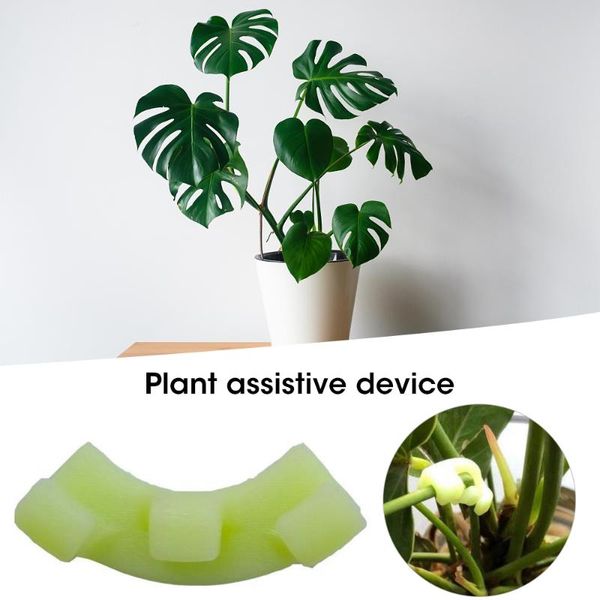 planters & pots 5 pcs bend the plant training clips 45/90 degree bender for low-stress and red curved holder
planters & pots 5 pcs bend the plant training clips 45/90 degree bender for low-stress and red curved holder