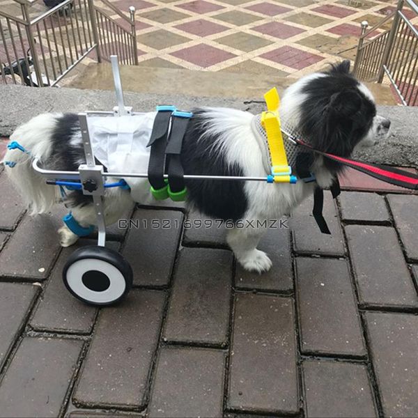 dog walking wheels stroller dog rehabilitation training wheelchair support adjustable disabled walking auxiliary trainer
dog walking wheels stroller dog rehabilitation training wheelchair support adjustable disabled walking auxiliary trainer