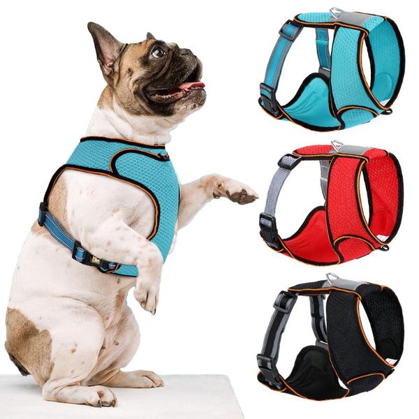 breathable mesh puppy dog harness vest no pull reflective dog cat harness adjustable nylon pet vest for small medium dogs pug
breathable mesh puppy dog harness vest no pull reflective dog cat harness adjustable nylon pet vest for small medium dogs pug