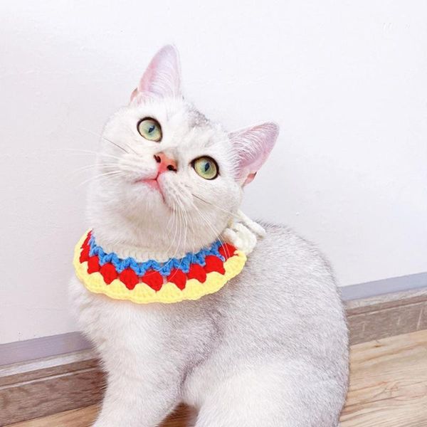 cat collars & leads light lovely colorful pet knitted scarf adorable collar comfortable supplies
cat collars & leads light lovely colorful pet knitted scarf adorable collar comfortable supplies