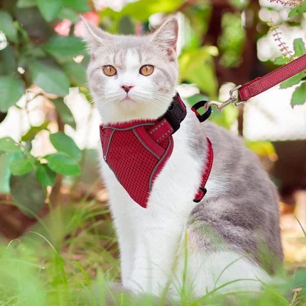dog collars & leashes pet chest strap dogs harness reflective strip cats mesh convenient
dog collars & leashes pet chest strap dogs harness reflective strip cats mesh convenient