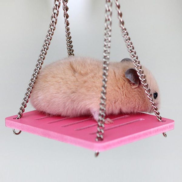 small animal supplies cute parrot hamster swing shake suspension toy hanging bed pet products entertainment eexercise toys
small animal supplies cute parrot hamster swing shake suspension toy hanging bed pet products entertainment eexercise toys