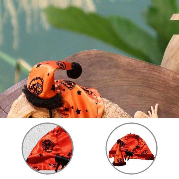 dog car seat covers clothing accessories 1 set cute lizard head wear santa cap cosplay reptile with cloak for shooting
dog car seat covers clothing accessories 1 set cute lizard head wear santa cap cosplay reptile with cloak for shooting