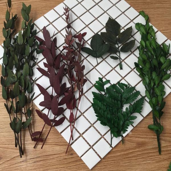 decorative flowers & wreaths preserved fresh flower diy material dried leaflet eucalyptus boxwood leaves alpine sheep tooth stone pine will
decorative flowers & wreaths preserved fresh flower diy material dried leaflet eucalyptus boxwood leaves alpine sheep tooth stone pine will