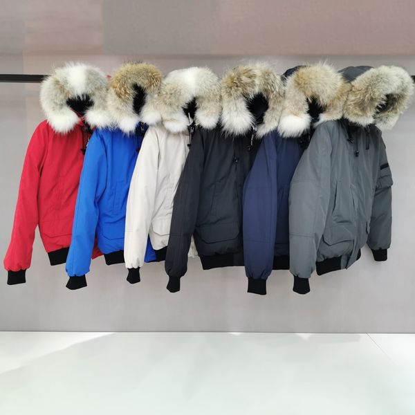 Top Quality Classic Women's Men's Down Jacket Real Wolf Fur Hooded Parka CANADA Chilliwack Pilot Outwear Warm Goose Female Coat Wa, Black
Top Quality Classic Women's Men's Down Jacket Real Wolf Fur Hooded Parka CANADA Chilliwack Pilot Outwear Warm Goose Female Coat Wa, Black
