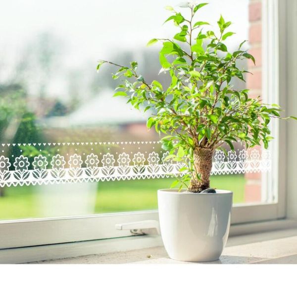 wallpapers sweet white flower lace wallpaper borders adhesive mirror stickers bathroom kitchen tile sticker glass door decoration ez056
wallpapers sweet white flower lace wallpaper borders adhesive mirror stickers bathroom kitchen tile sticker glass door decoration ez056