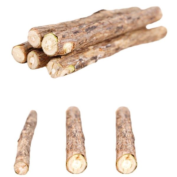 cat toys natural catnip stick pet toy cleaning teeth molar toothpaste silvervine actinidia fruit sticks supplies
cat toys natural catnip stick pet toy cleaning teeth molar toothpaste silvervine actinidia fruit sticks supplies