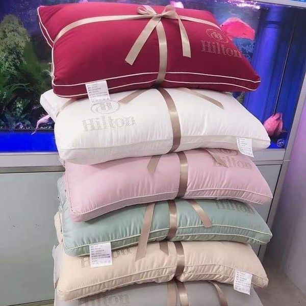 pillow hilton solid color el home manufacturers direct five star core vacuum compression packaging
pillow hilton solid color el home manufacturers direct five star core vacuum compression packaging