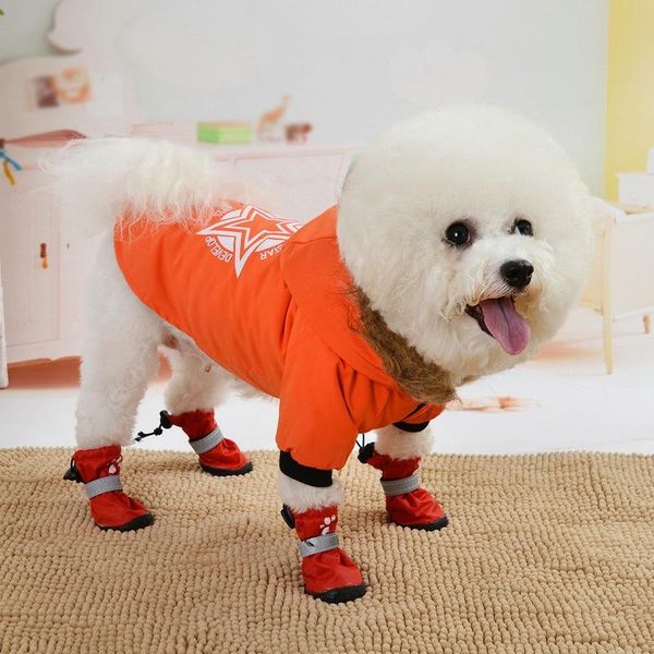 dog apparel pet down jacket star letters winter jumpsuit for dogs puppy clothing hoodies small medium warm clothes coat
dog apparel pet down jacket star letters winter jumpsuit for dogs puppy clothing hoodies small medium warm clothes coat