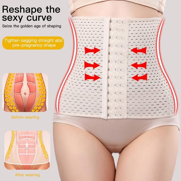 waist support women cinchers ladies corset shaper band body building front buckle three breasted dropship, Black;gray
waist support women cinchers ladies corset shaper band body building front buckle three breasted dropship, Black;gray