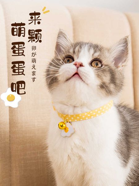 factory pet cat ying short collar bell small dog teddy cute adjustable bow neck jewelry tie
factory pet cat ying short collar bell small dog teddy cute adjustable bow neck jewelry tie
