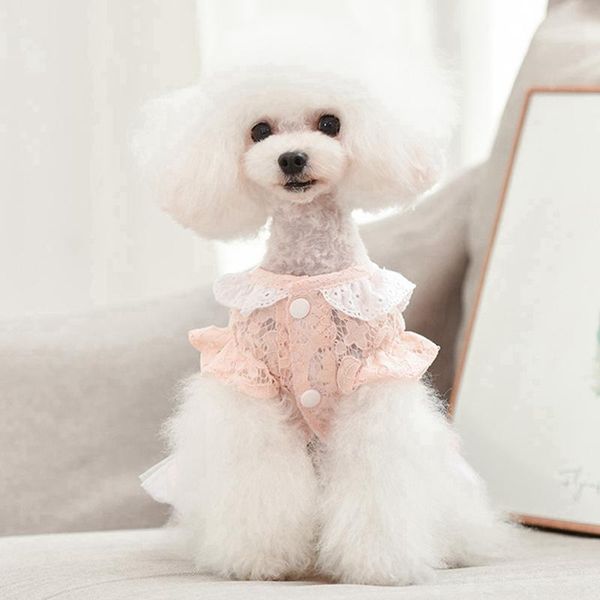 dog apparel summer pet clothes printed dress for dogs skirt princess wedding dresses breathable cotton puppy skirts cat
dog apparel summer pet clothes printed dress for dogs skirt princess wedding dresses breathable cotton puppy skirts cat