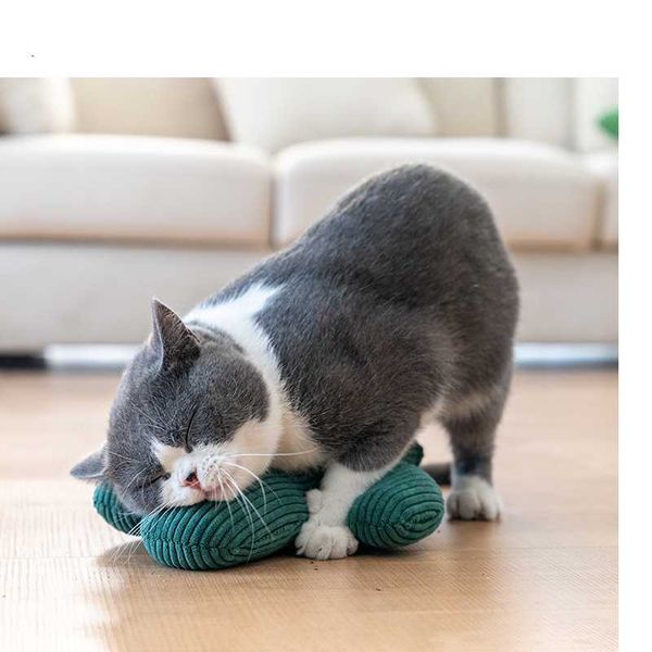 cat beds & furniture cactus tease toy self hi mint grinning supplies 
cat beds & furniture cactus tease toy self hi mint grinning supplies