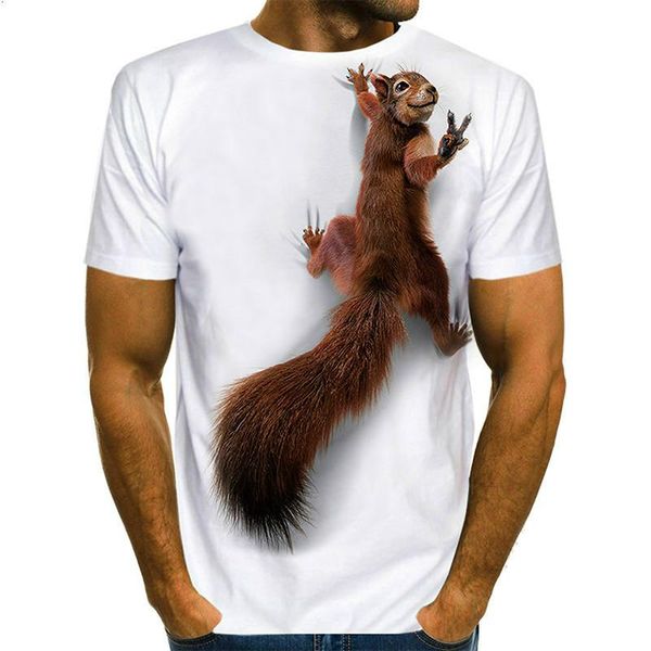 men's t-shirts squirrel 3d printing t-shirt, and women's animal series puppy face 2021 polyester mascot t-shirt, White;black
men's t-shirts squirrel 3d printing t-shirt, and women's animal series puppy face 2021 polyester mascot t-shirt, White;black
