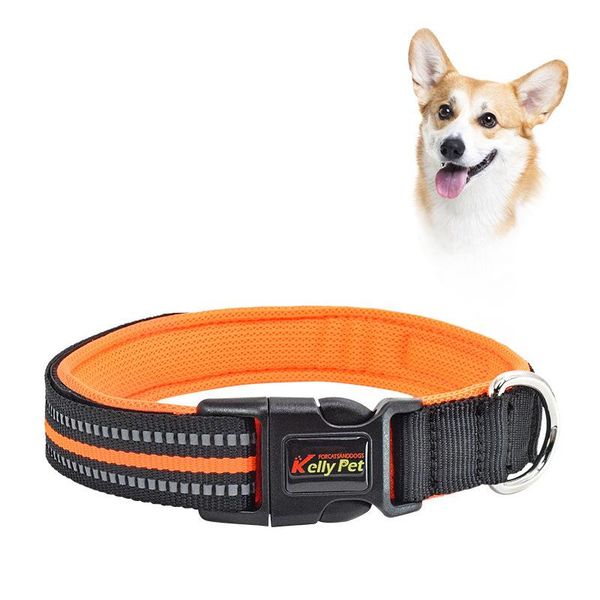 dog collars & leashes adjustable reflective chain for pet collar personalized suitable pets supplies small and medium dogs
dog collars & leashes adjustable reflective chain for pet collar personalized suitable pets supplies small and medium dogs