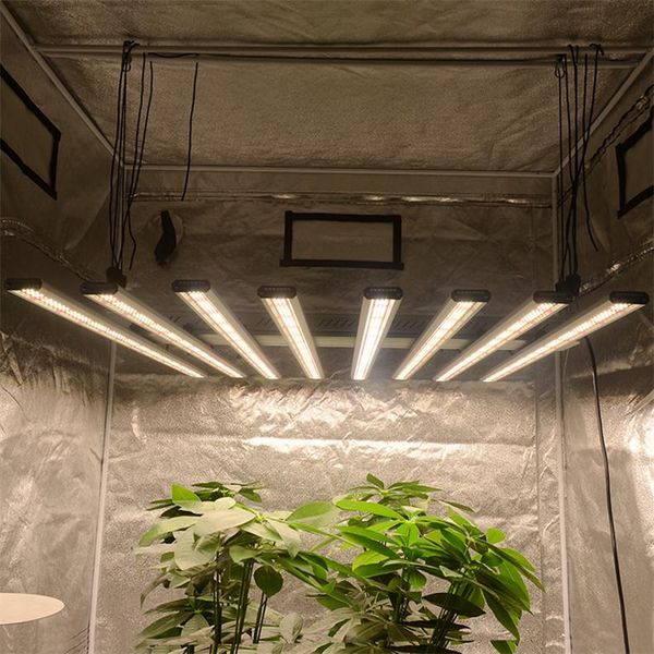grow lights waterproof 800w led hidroponia hydroponic 800 wadimmable 4ft plants light bar kit
grow lights waterproof 800w led hidroponia hydroponic 800 wadimmable 4ft plants light bar kit
