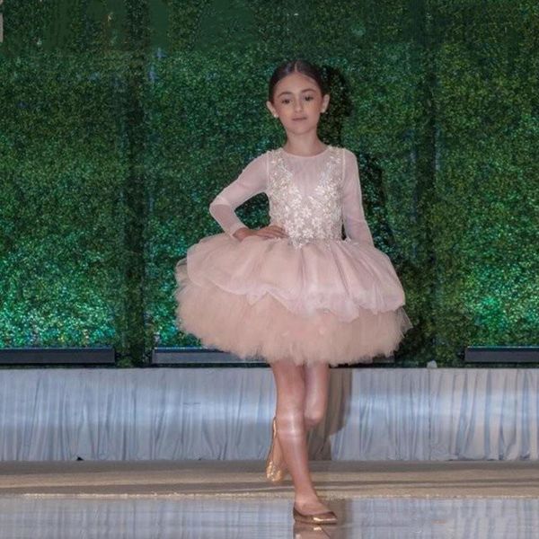 beautiful pink short ball gown flower girl dresses for weddings scoop neck long sleeve appliques kids holy communion dress, White;blue
beautiful pink short ball gown flower girl dresses for weddings scoop neck long sleeve appliques kids holy communion dress, White;blue