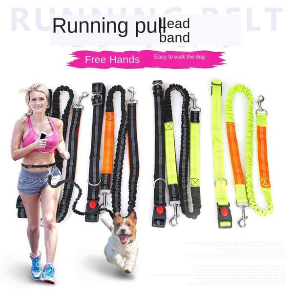 dog collars & leashes pattern pet products multi-function running reflective strap traction rope double elastic nylon
dog collars & leashes pattern pet products multi-function running reflective strap traction rope double elastic nylon