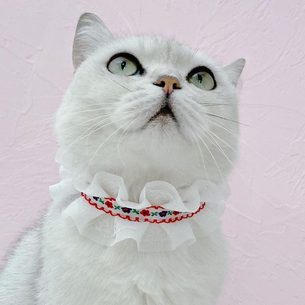 cat collars & leads fashion pet collar lace bibs cute bib lovely dog necklace decor for small deworming
cat collars & leads fashion pet collar lace bibs cute bib lovely dog necklace decor for small deworming