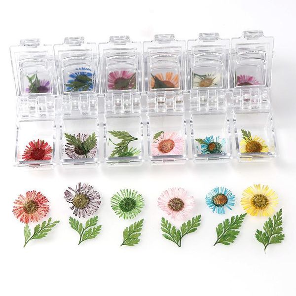 1 box real dried daisy flower dry plants for epoxy resin pendant necklace jewelry making craft diy accessories/diy qylslf
1 box real dried daisy flower dry plants for epoxy resin pendant necklace jewelry making craft diy accessories/diy qylslf