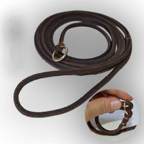 dog collars & leashes tow rope race training
dog collars & leashes tow rope race training
