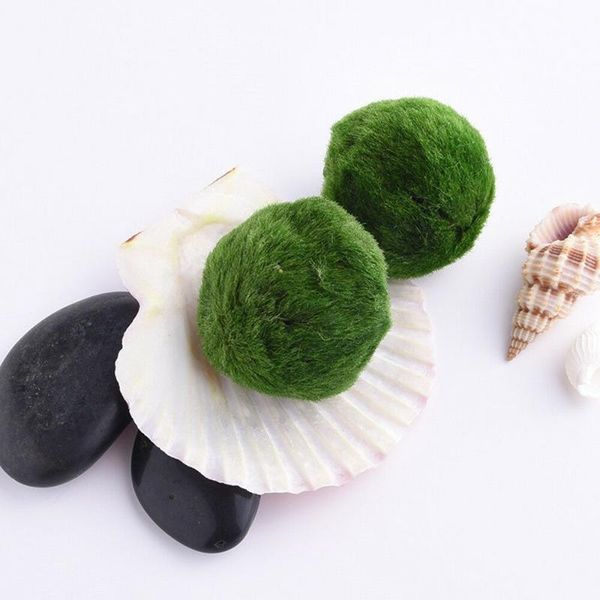 decorations aquarium fish tank moss balls artificial water plant ornament landscape decor grass
decorations aquarium fish tank moss balls artificial water plant ornament landscape decor grass