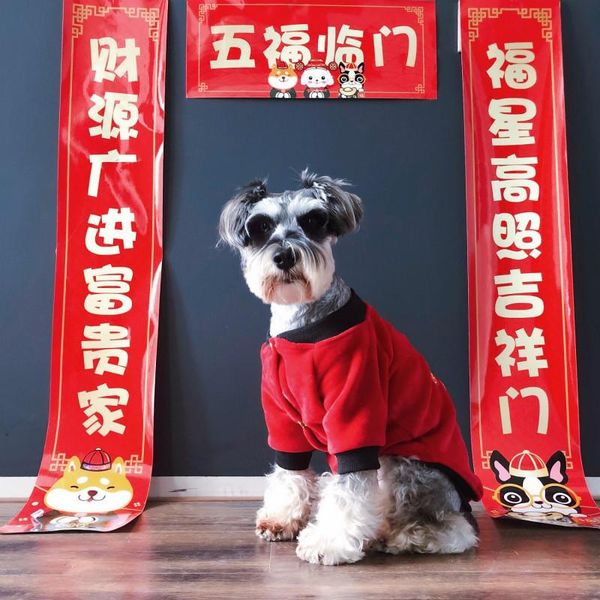 dog apparel pet tide brand clothes cat year chinese style cotton jacket teddy schnauzer thick double-sided supplies
dog apparel pet tide brand clothes cat year chinese style cotton jacket teddy schnauzer thick double-sided supplies