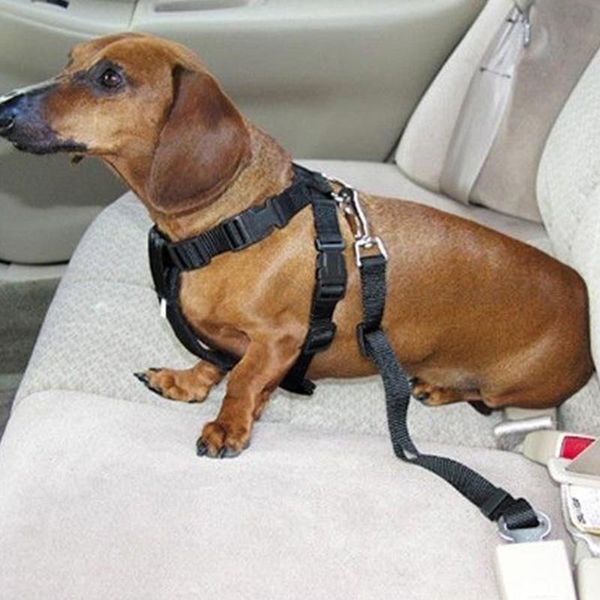 universal dog cat pet car seat belt safety adjustable harness leash travel clip strap lead car seat belt pet dog
universal dog cat pet car seat belt safety adjustable harness leash travel clip strap lead car seat belt pet dog