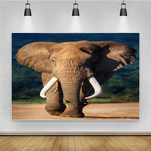party decoration 3d animals printed elephant design pography backdrops thin po background for pos studio birthday decor
party decoration 3d animals printed elephant design pography backdrops thin po background for pos studio birthday decor