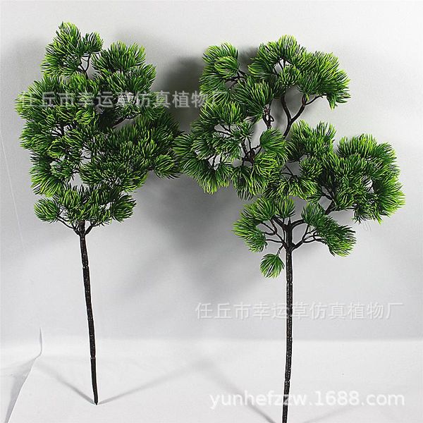 model pine branch false pine engineering needle pinus taiwanensis beauty tree luck branches bonsai 
model pine branch false pine engineering needle pinus taiwanensis beauty tree luck branches bonsai