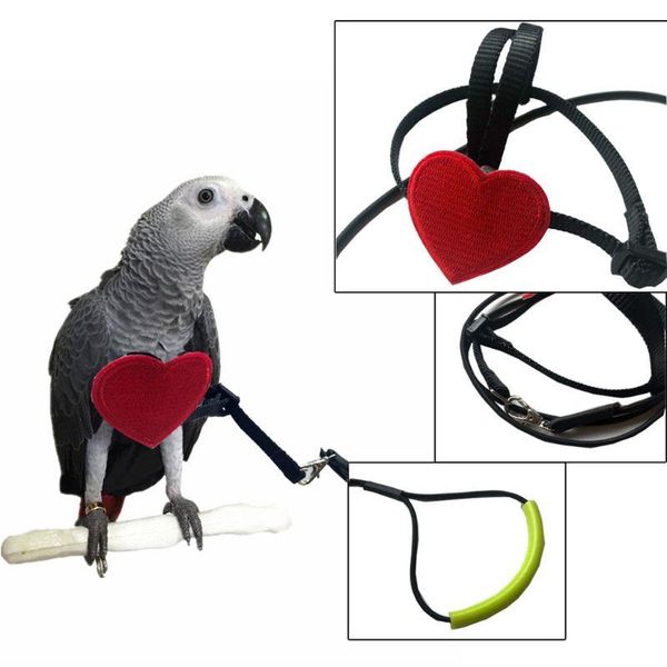 other bird supplies parrot birds anti-bite flying training rope ultralight harness leash soft portable pet c42
other bird supplies parrot birds anti-bite flying training rope ultralight harness leash soft portable pet c42