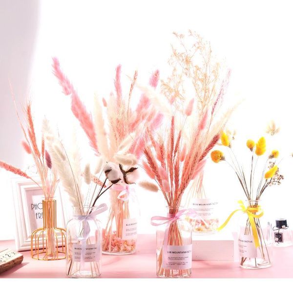 7pcs bulrush natural dried flowers small pampas grass phragmites diy artificial flowers plants for decor home wedding de jllztl
7pcs bulrush natural dried flowers small pampas grass phragmites diy artificial flowers plants for decor home wedding de jllztl