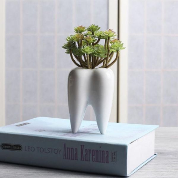 planters & pots teeth shape ceramic flowerpot innovation modern design white succulent flower pot home decoration
planters & pots teeth shape ceramic flowerpot innovation modern design white succulent flower pot home decoration