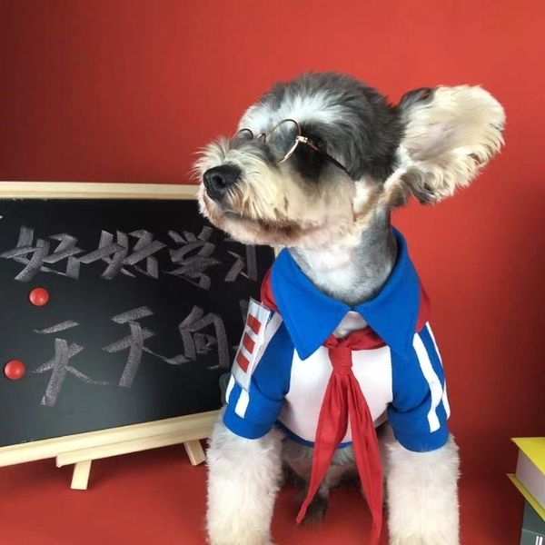 dog apparel clothes spring red summer spoof school uniform schnauzer bomei cat teddy sweater jacket pet for small medium
dog apparel clothes spring red summer spoof school uniform schnauzer bomei cat teddy sweater jacket pet for small medium