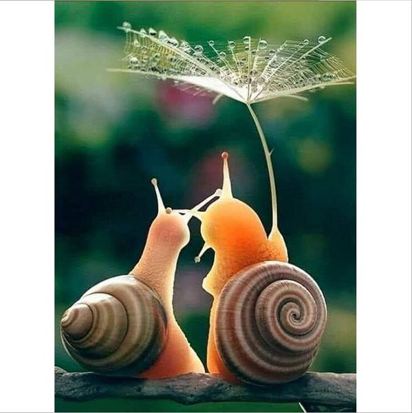 frameless canvas 40*50cm 5d diy diamond painting cross stitch kit diamond mosaic embroidery landscape animal bird snail 3d round diamond gif
frameless canvas 40*50cm 5d diy diamond painting cross stitch kit diamond mosaic embroidery landscape animal bird snail 3d round diamond gif