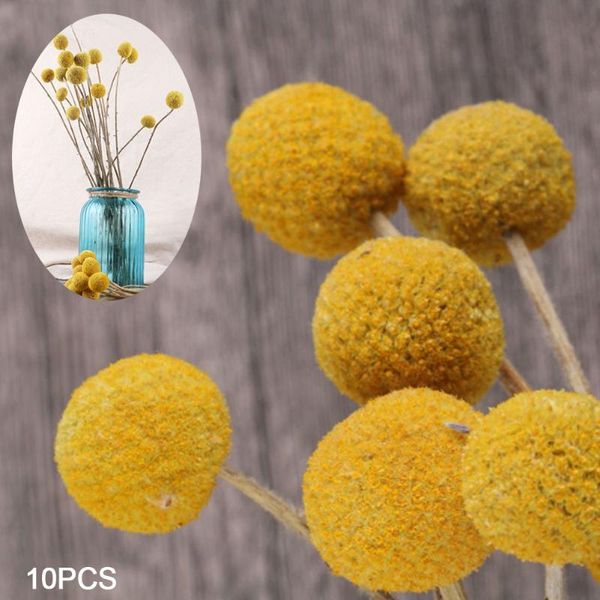 10pcs billy ball valentine's day party dried flower gift accessories floral decoration pgraphy prop home large bouquet
10pcs billy ball valentine's day party dried flower gift accessories floral decoration pgraphy prop home large bouquet