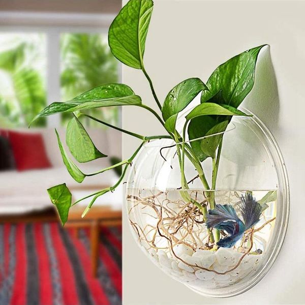 aquariums wall hanging fish bowl mirror round acrylic plant tanks and vase pot for garden, home, outdoor
aquariums wall hanging fish bowl mirror round acrylic plant tanks and vase pot for garden, home, outdoor
