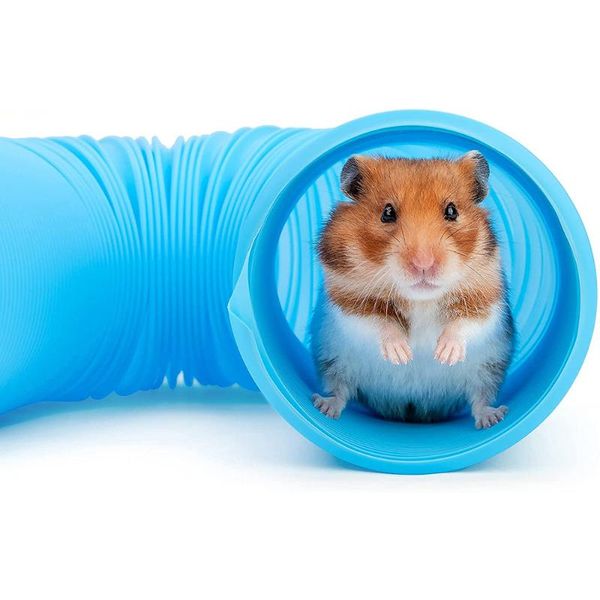 small animal supplies 1m pipe for pet tunnel cats hamster toy toys interactive animals playing tube
small animal supplies 1m pipe for pet tunnel cats hamster toy toys interactive animals playing tube